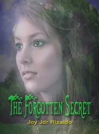 The Forgotten Secret Novel Cover