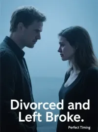 Divorced and Left Broke Novel Cover