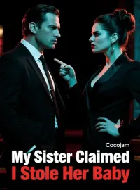 My Sister Claimed I Stole Her Baby Novel Cover