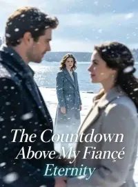 The Countdown Above My Fiancé Novel Cover