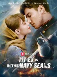 My Ex is in the Navy SEALs