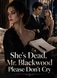 Sir, She's Dead And Will Never Return Novel Cover