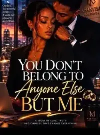 You Don't Belong To Anyone Else But Me...! Novel Cover