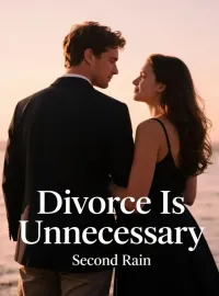Divorce Is Unnecessary Novel Cover