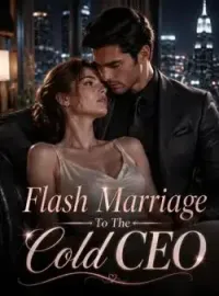 Flash Marriage To The Cold CEO