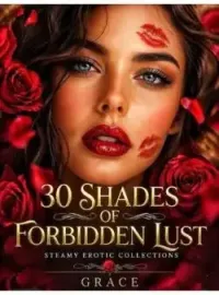 30 Shades Of Forbidden Lust  Novel Cover