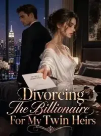 Divorcing The Billionaire For My Twin Heirs Novel Cover