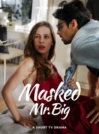 Masked Mr. Big