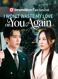 I Won't Waste My Love on You Again