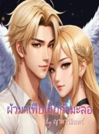 ภาพปกนิยาย ผัวมาเฟียเมียกำมะลอ  (วิลเซนต์-ไอด้า) 