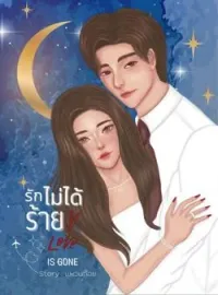 ภาพปกนิยาย รักไม่ได้ร้าย