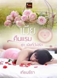 ภาพปกนิยาย เมียคืนแรม