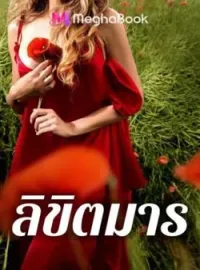 ภาพปกนิยาย ลิขิตมาร ชุด จอมมารที่รัก
