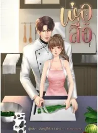 ภาพปกนิยาย พ่อสื่อ