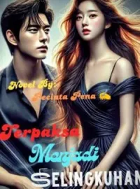Sampul Novel Terpaksa Menjadi Selingkuhan 