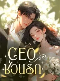ภาพปกนิยาย CEO ซ่อนรัก