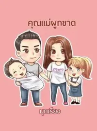 ภาพปกนิยาย คุณแม่ผูกขาด