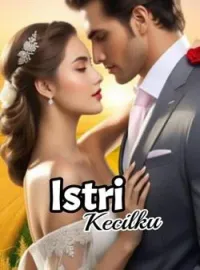 Sampul Novel Istri kecilku 