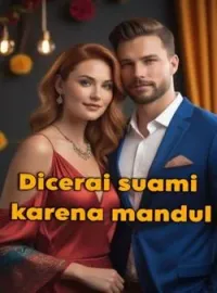Sampul Novel Dicerai suami karena mandul