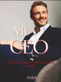 Capa do Romance Mr CEO "Apaixonada pelo meu chefe"