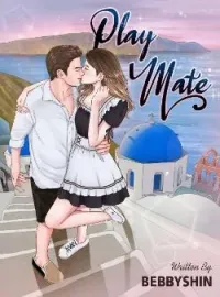 Sampul Novel PLAYMATE