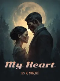 My heart has no moonlight Novel Cover
