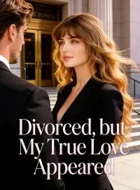 Divorced, but My True Love Appeared Novel Cover