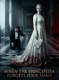 When the Principessa Forgets Your Name Novel Cover