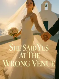 She Said Yes At The Wrong Venue Novel Cover