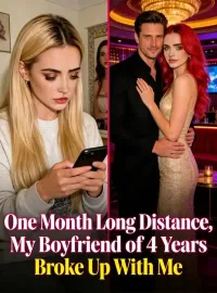 One Month Long Distance, My Boyfriend of 4 Years Broke Up With Me Novel Cover