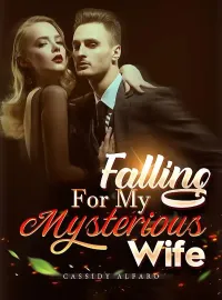 Falling For My Mysterious Wife Novel Cover
