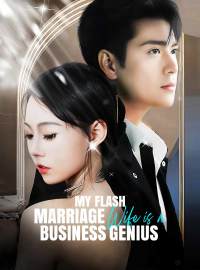 My Flash Marriage Wife Is A Business Genius