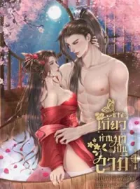 ภาพปกนิยาย ข้าจะเกี้ยวท่านมาเป็นสามี