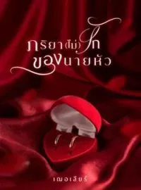 ภาพปกนิยาย ภริยา(ไม่)รักของนายหัว