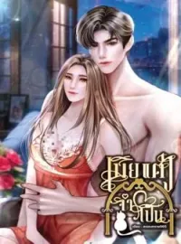ภาพปกนิยาย เมียแต่งจำเป็น
