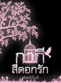 ภาพปกนิยาย กากีสีดอกรัก