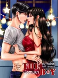 ภาพปกนิยาย THE BOY พ่อตามขา