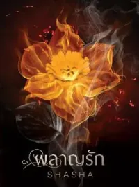 ภาพปกนิยาย ผลาญรัก