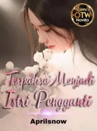 Sampul Novel Terpaksa Menjadi Istri Pengganti