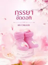 ภาพปกนิยาย ภรรยาขัดดอก