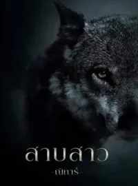 ภาพปกนิยาย สาบสาว