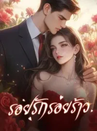 ภาพปกนิยาย รอยรักรอยร้าว