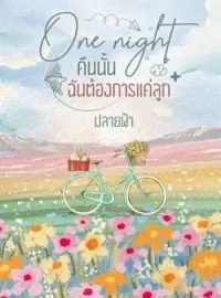 ภาพปกนิยาย One night คืนนั้นฉันต้องการแค่ลูก