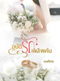 ภาพปกนิยาย อุบัติรักเพลิงแค้น