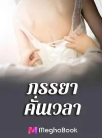 ภาพปกนิยาย ภรรยาคั่นเวลา ชุด Sweet Temptations