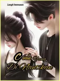 Sampul Novel Cinta yang dinantikan 