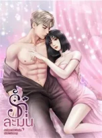 ภาพปกนิยาย รักละมุน 