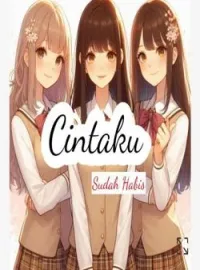 Sampul Novel Cintaku Sudah Habis