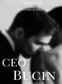 Sampul Novel CEO Bucin