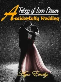 Sampul Novel Accidentally Wedding